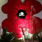 IMG-20151119-WA0014